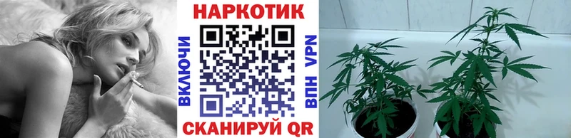 Где купить наркоту Теберда A-PVP  Кокаин  Мефедрон  Каннабис 