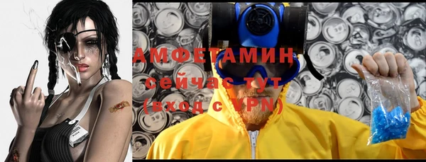 стаф Дмитров